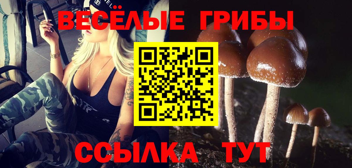Галлюциногенные грибы мицелий  Псилоцибиновые грибы Magic Shrooms  Вход с VPN  Екатеринбург 
